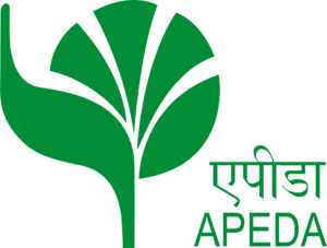apeda-seeklogo